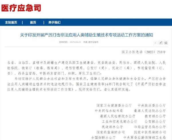 暗访非法代孕公司 代孕者不乏大学生 费用昂贵到吓人